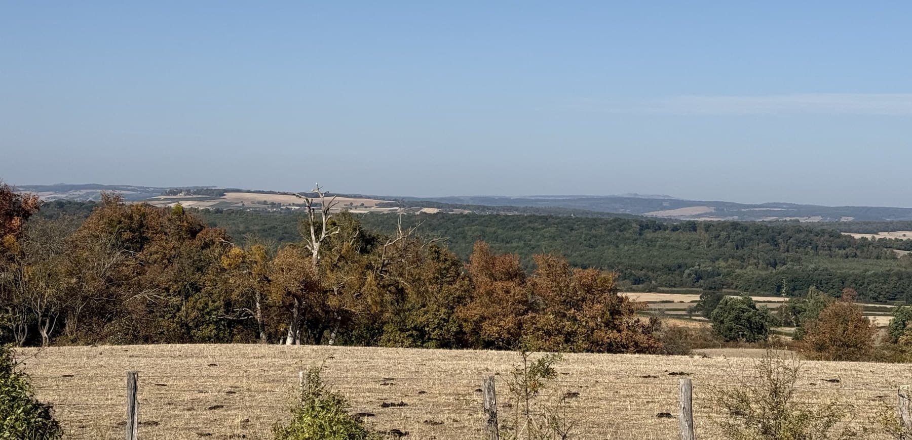 Collines boisées de la Bourgogne du Sud aux premières couleurs d'automne, à quelques minutes de la maison