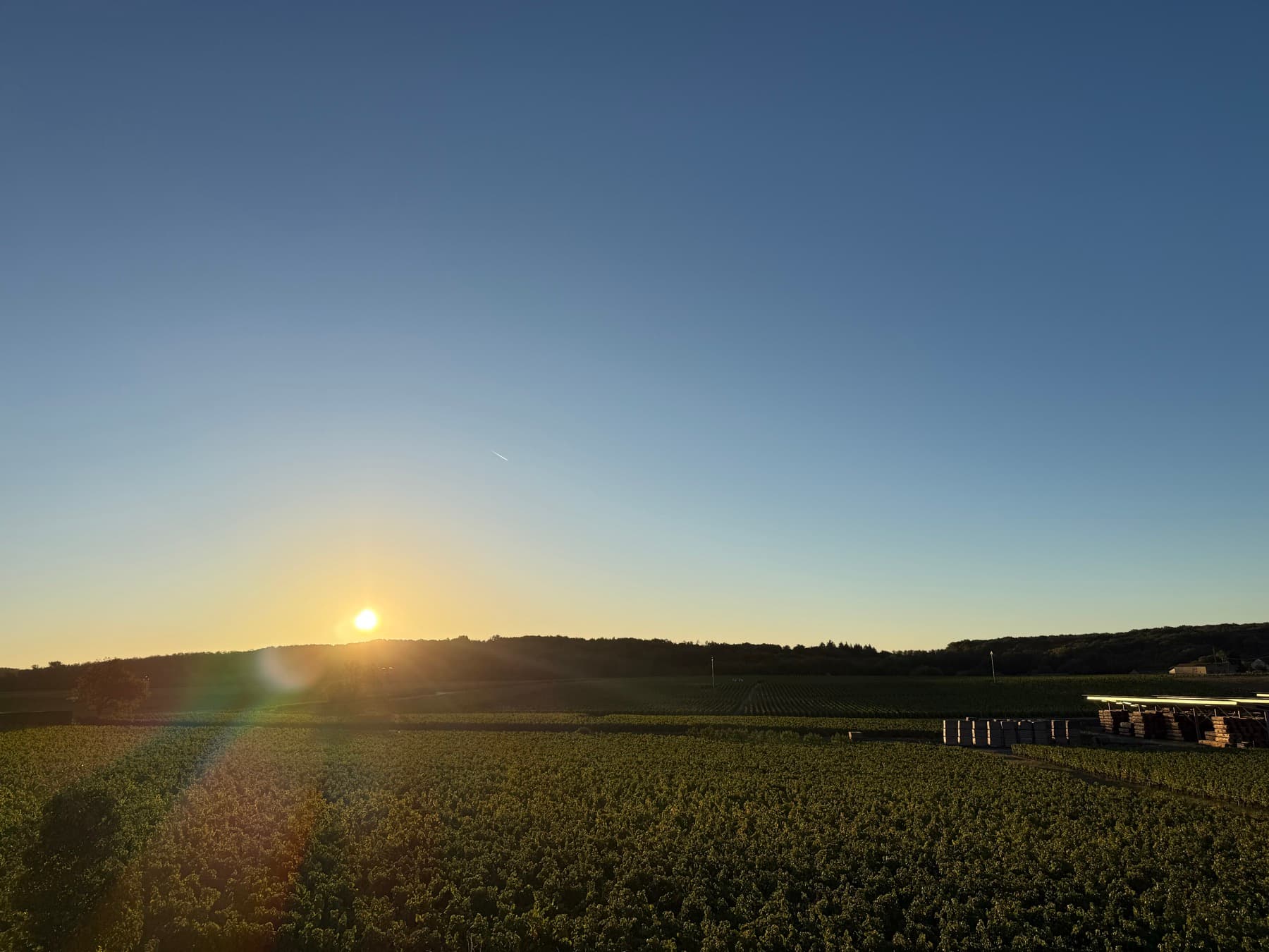 Coucher de soleil sur les vignes du Mâconnais, en septembre, dans les environs de la maison