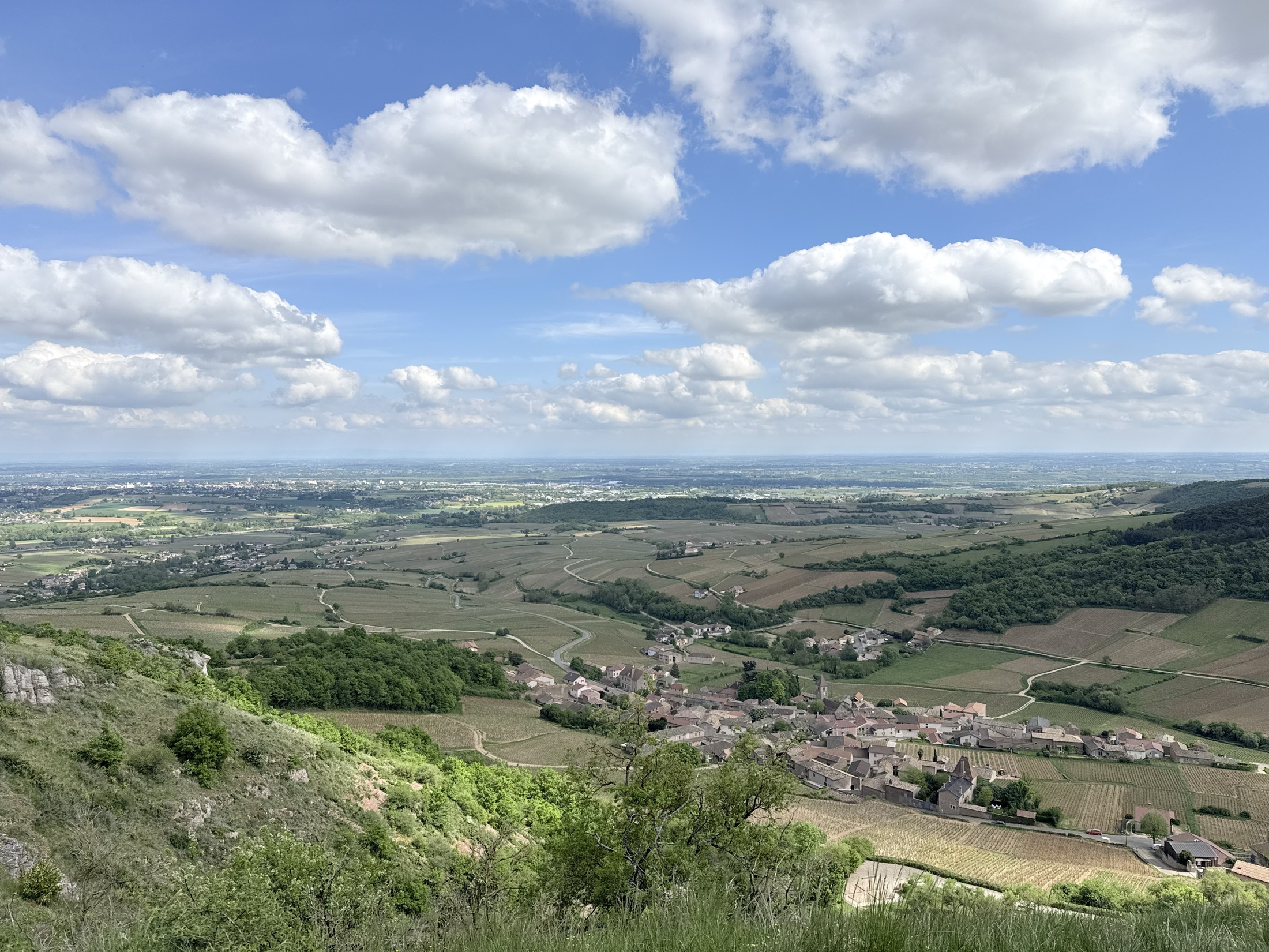Panoramic view over the vineyards from the Roche de Solutré